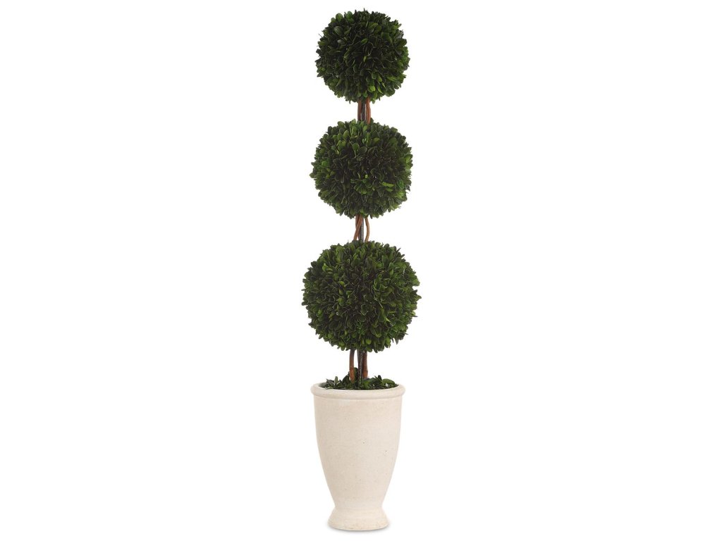 Preserved Boxwood Triple Topiary - main image