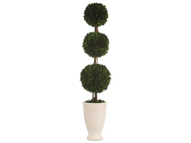 Preserved Boxwood Triple Topiary