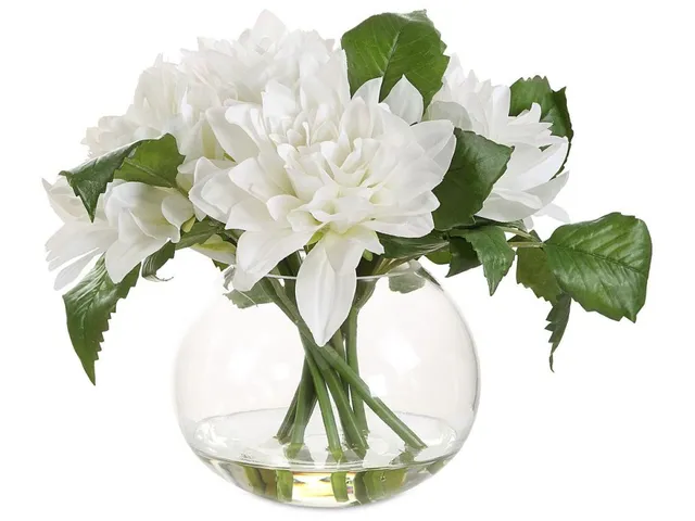 Virtue Dahlia Accent