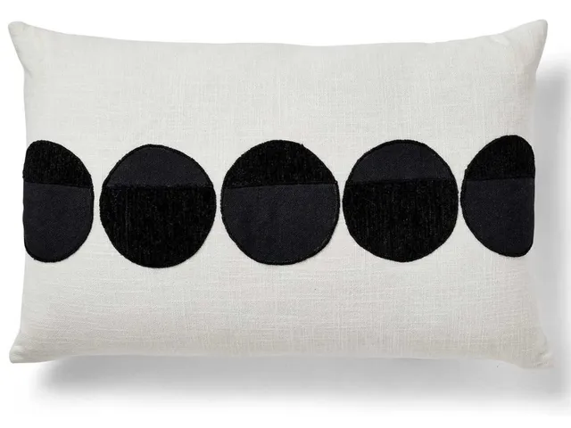 Spot On Pillow