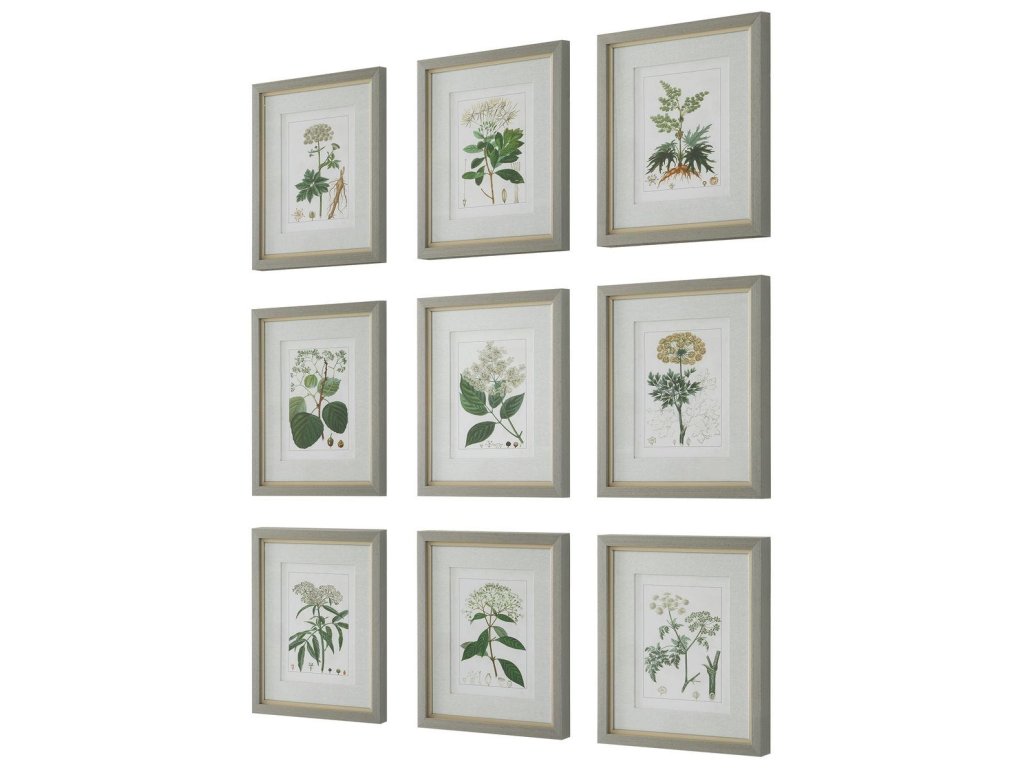 Antique Botanicals Framed Prints, S/9 - image 4