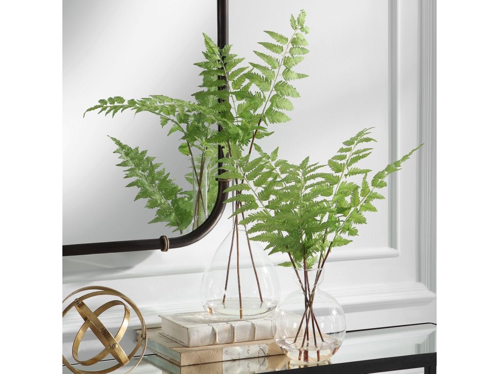 Country Ferns, S/2 - image 1