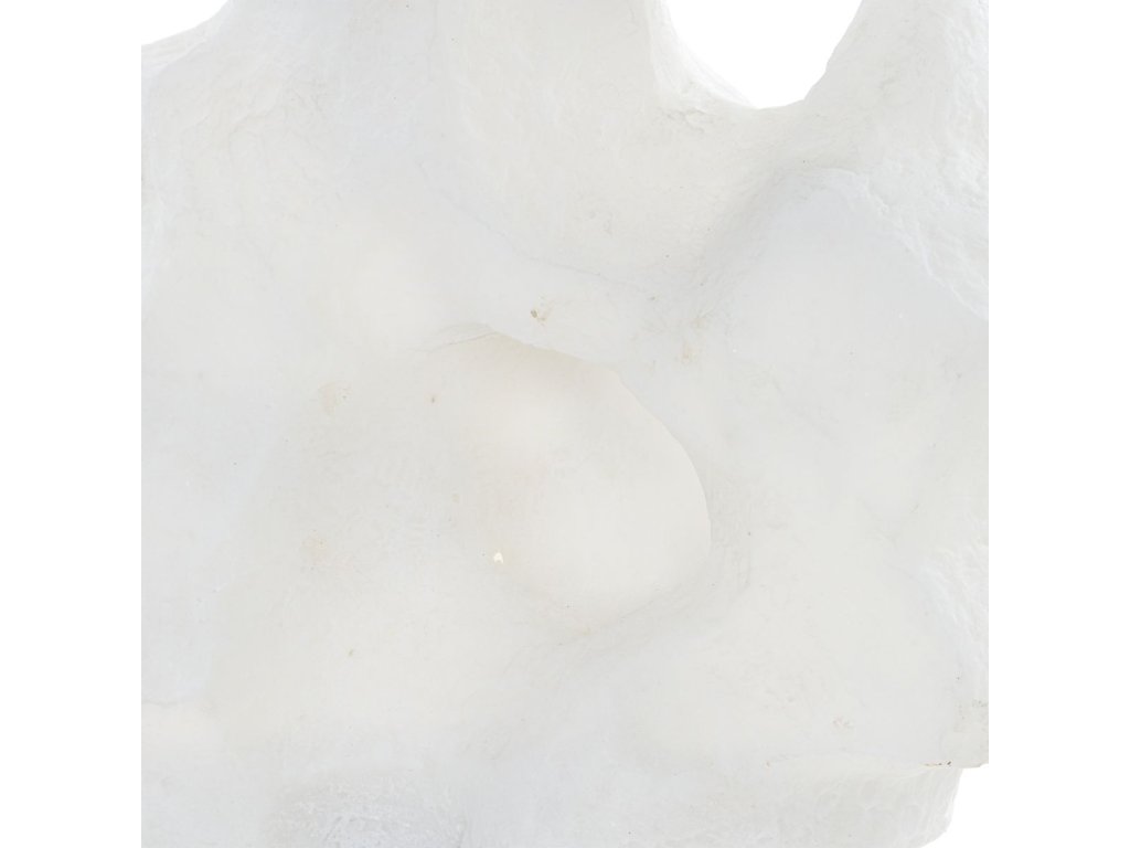 Remnant Sculptures, S/2 - image 2