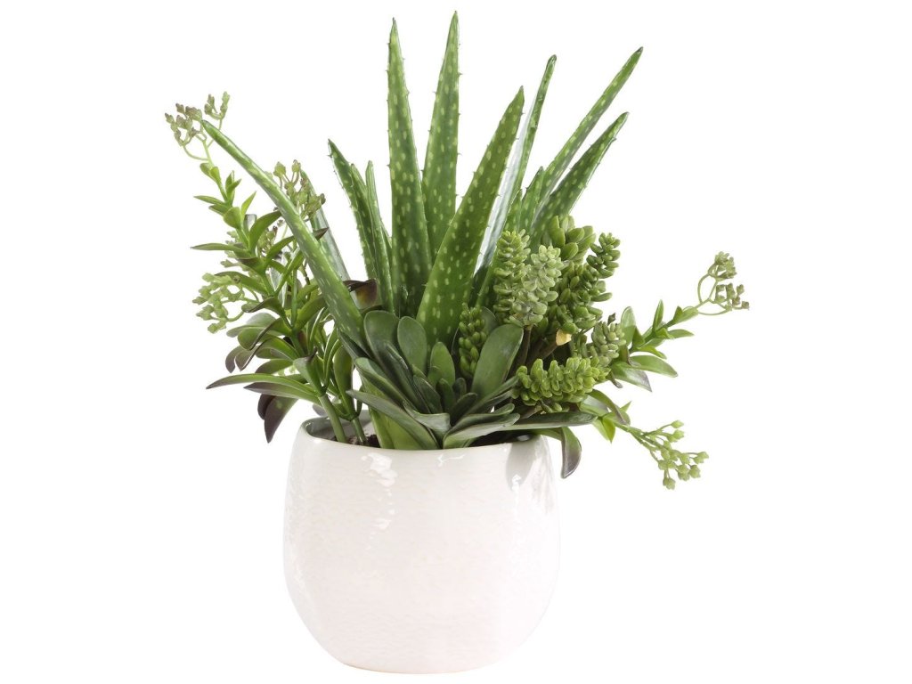 Sundown Succulent Accent - image 2