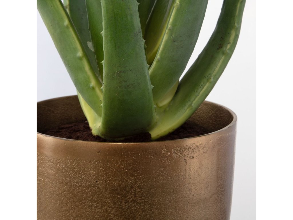 Arabia Aloe Planter, 2 Cartons - image 3