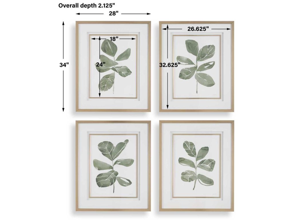 Fiddle Head Leaf Framed Prints, S/4 - image 6