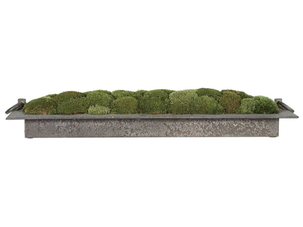Heath Preserved Moss Tray - main image