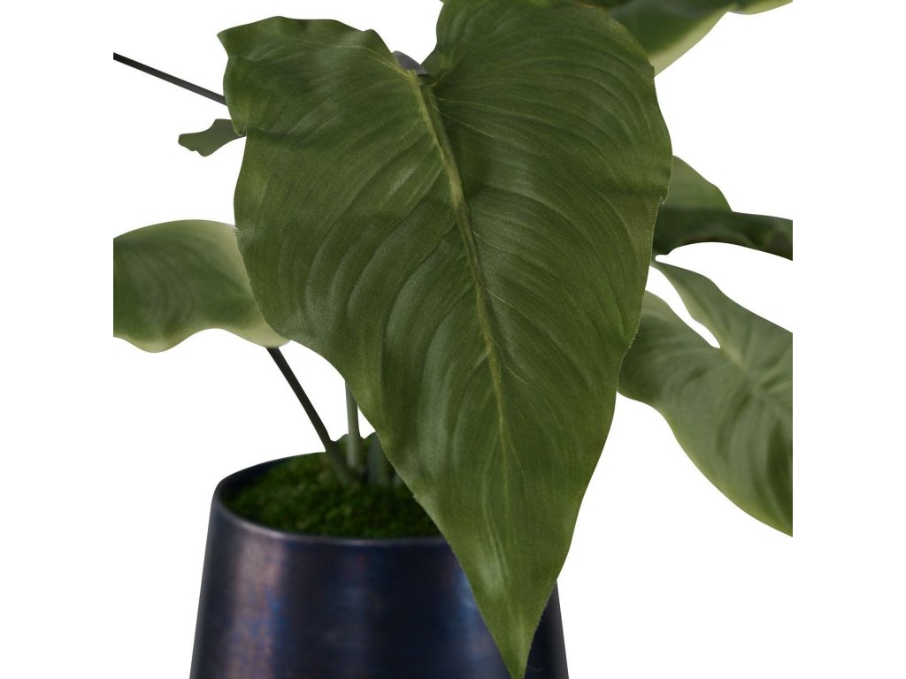 Mari Calla Accent - image 4