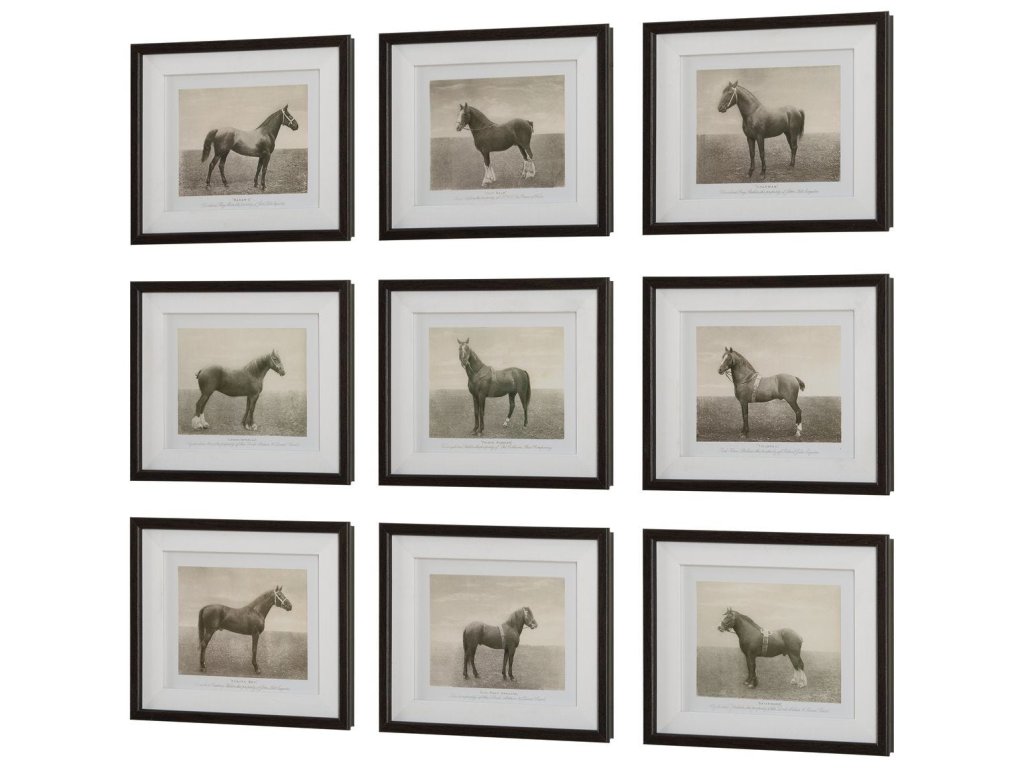 Equine Dynasty Framed Prints, S/9 - image 3