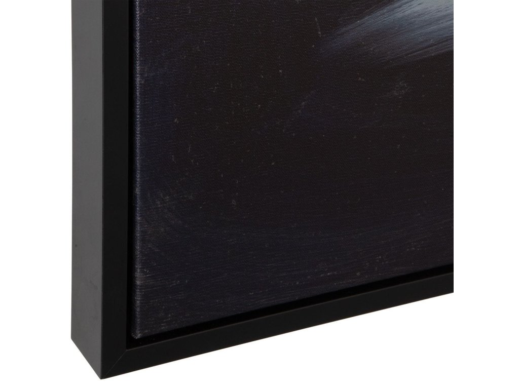 Peony Framed Canvas - image 5