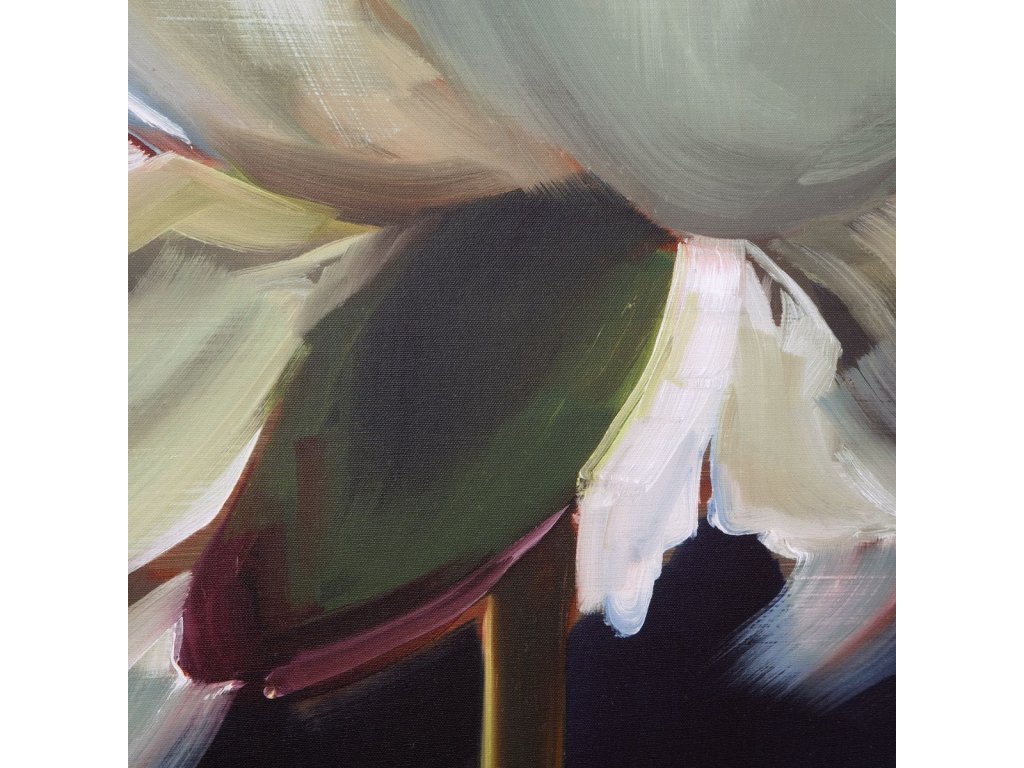 Peony Framed Canvas - image 4