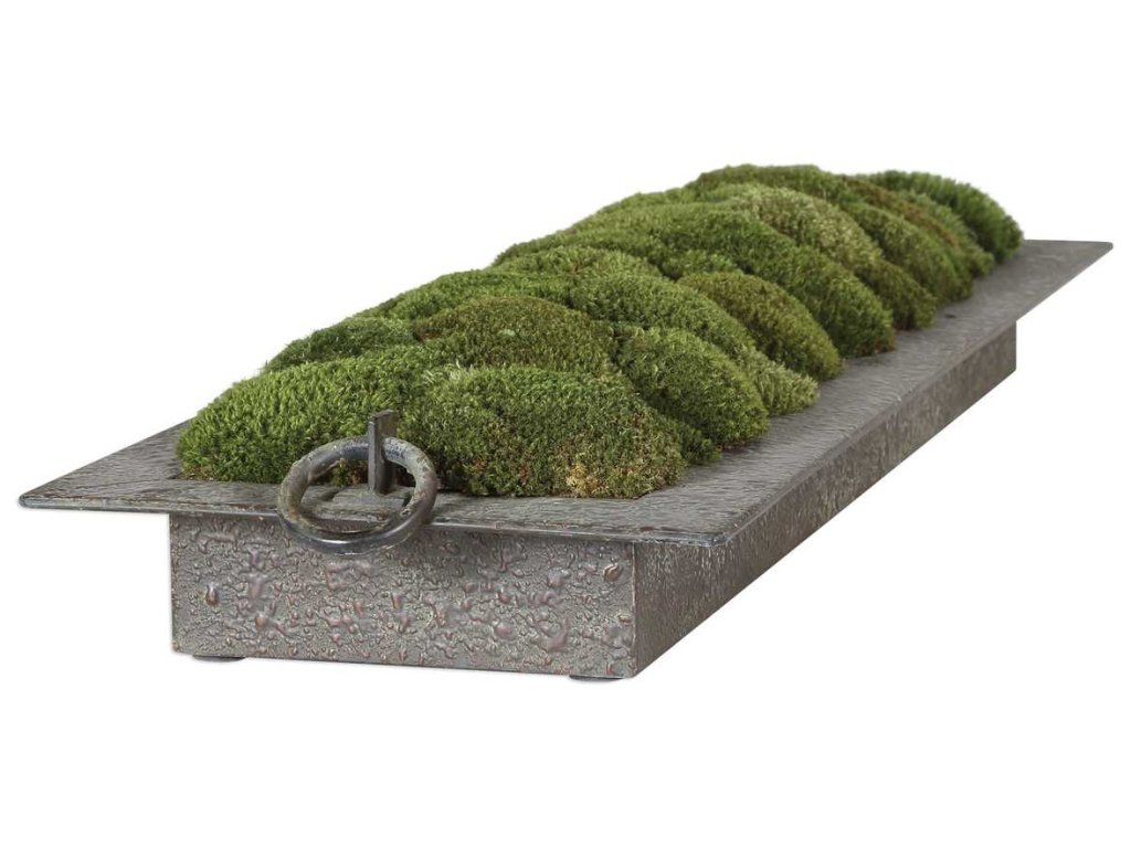 Heath Preserved Moss Tray - image 4