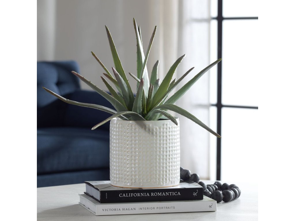 Taos Aloe Centerpiece - image 1