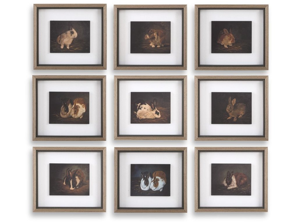 Resting Bunny Framed Prints, S/9 - main image