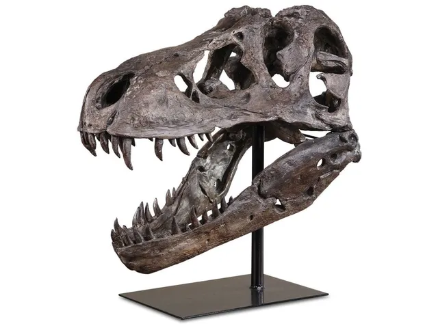 Tyrannosaurus Sculpture