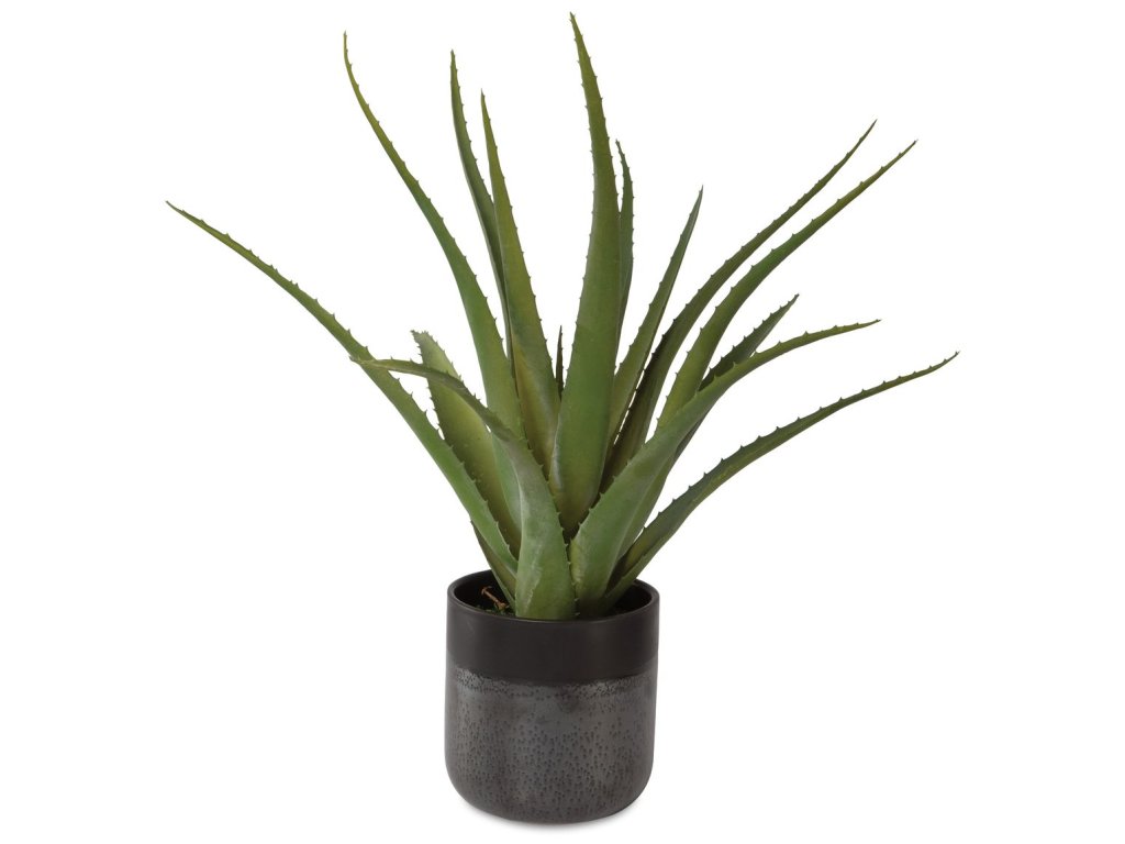 Tucson Aloe Planter - main image
