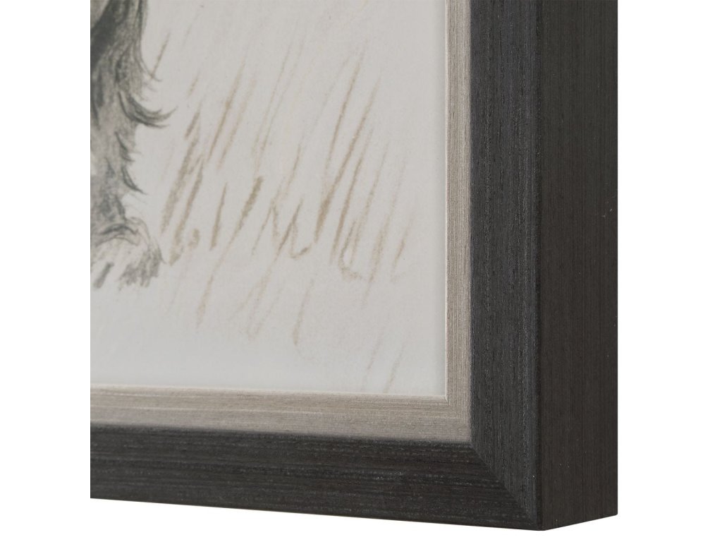 Loyal Companion Framed Prints, S/9 - image 5