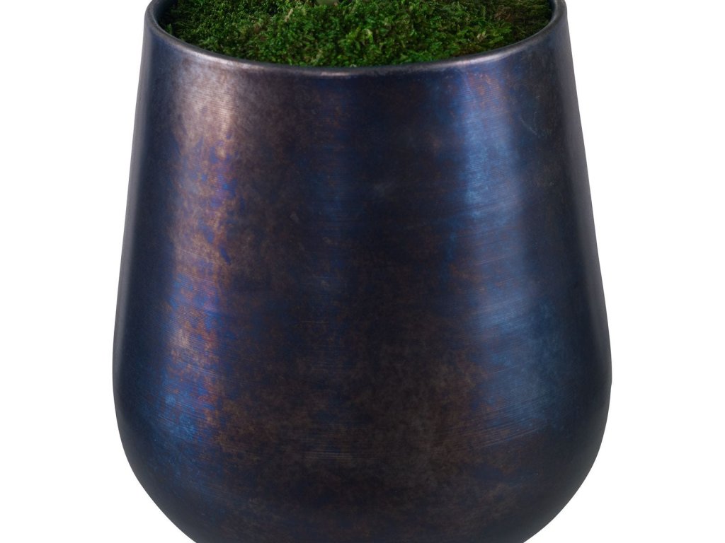 Mari Calla Accent - image 3