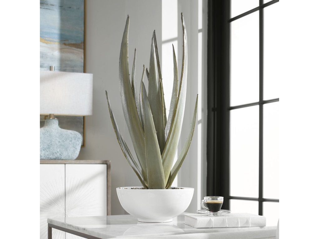 Evarado Aloe Planter - image 4