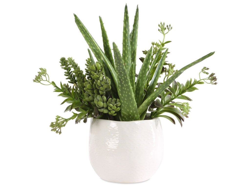 Sundown Succulent Accent - main image