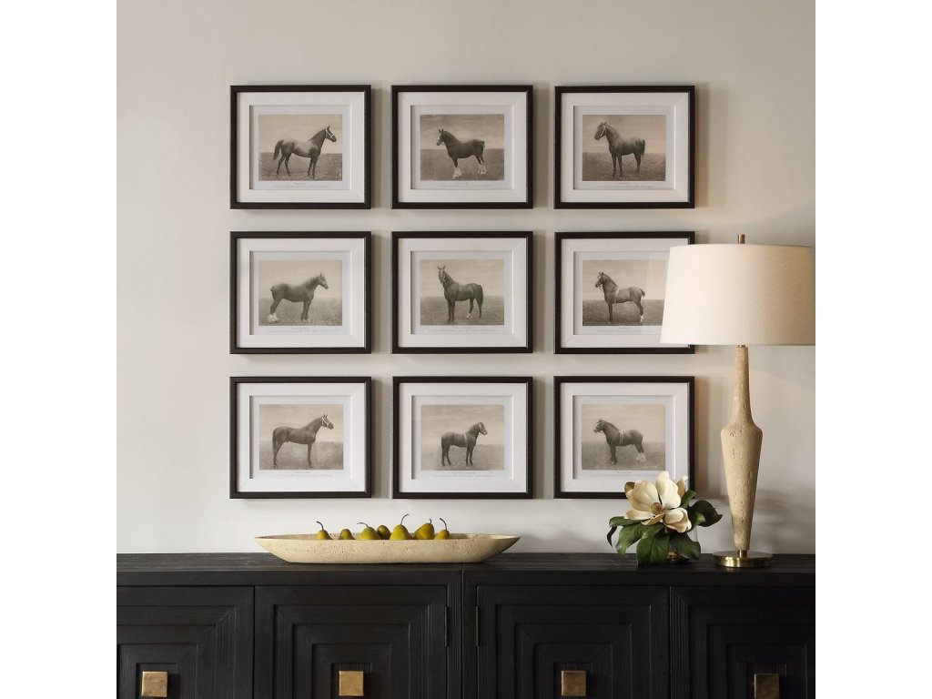 Equine Dynasty Framed Prints, S/9 - image 1