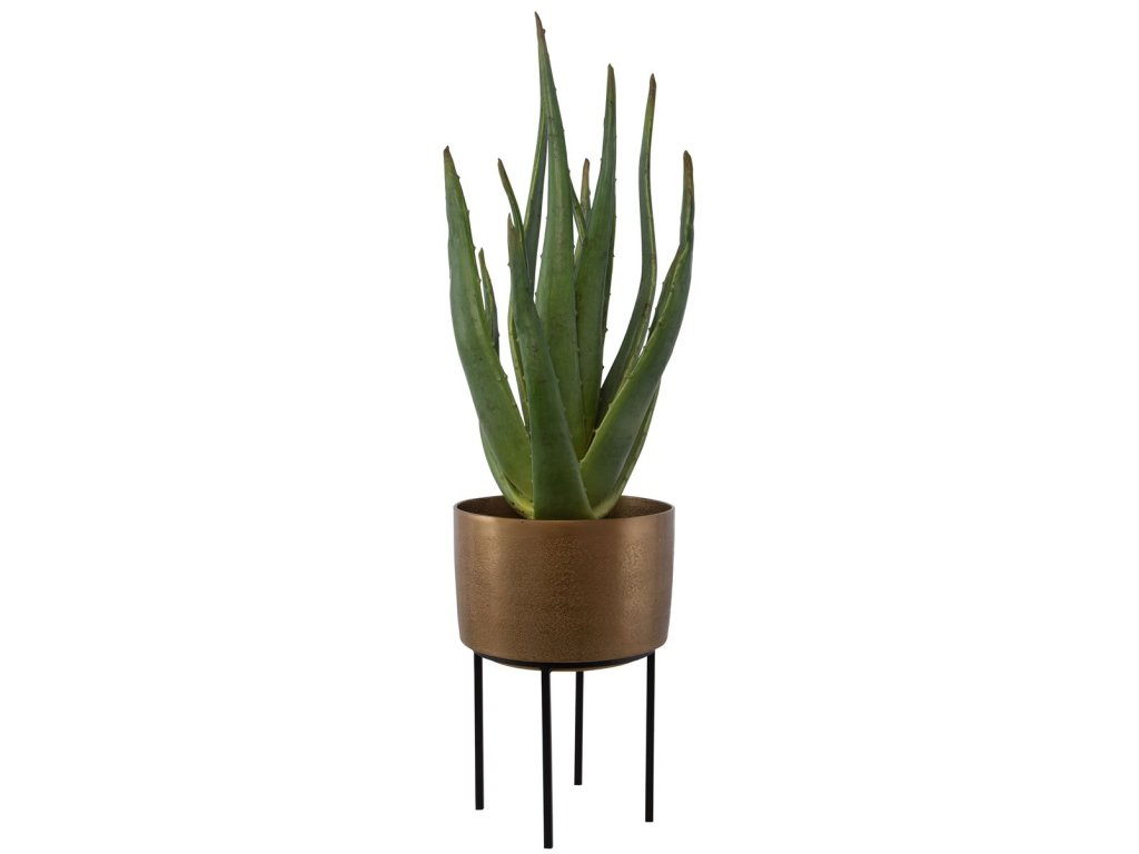 Arabia Aloe Planter, 2 Cartons - image 2