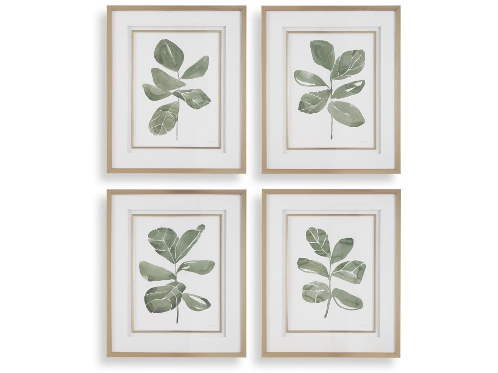Fiddle Head Leaf Framed Prints, S/4 - main image