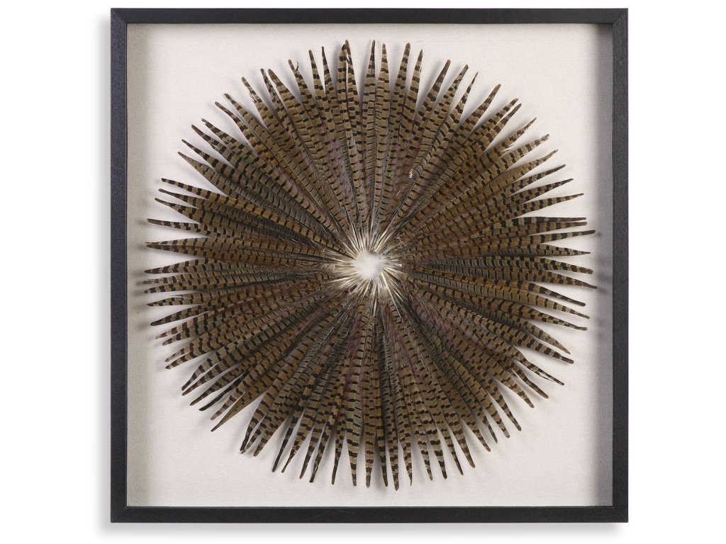 Feather Burst Shadow Box - main image