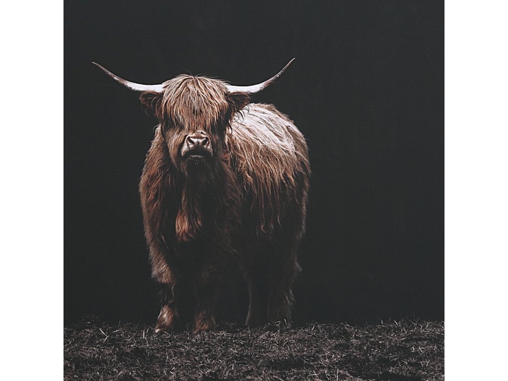 King Of The Hill Framed Print - image 4