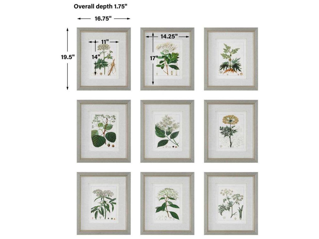 Antique Botanicals Framed Prints, S/9 - image 6