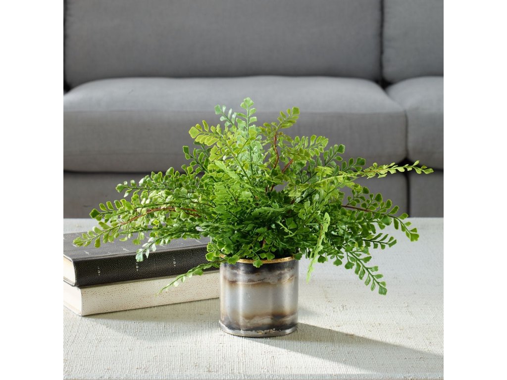 Maidenhair Fern Accent - image 1