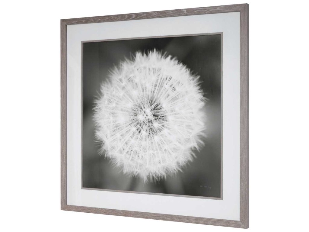 Dandelion Seedhead Framed Print - image 4