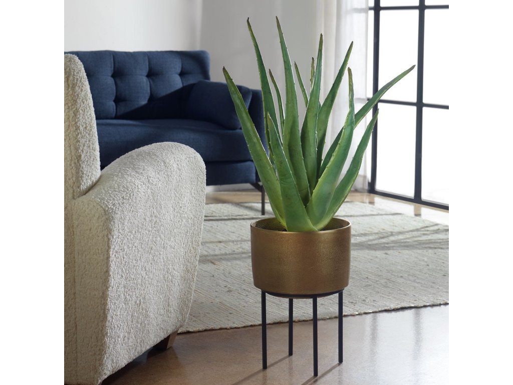 Arabia Aloe Planter, 2 Cartons - image 1