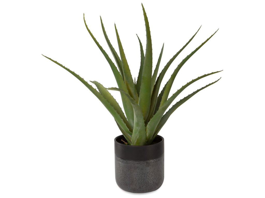 Tucson Aloe Planter - image 2