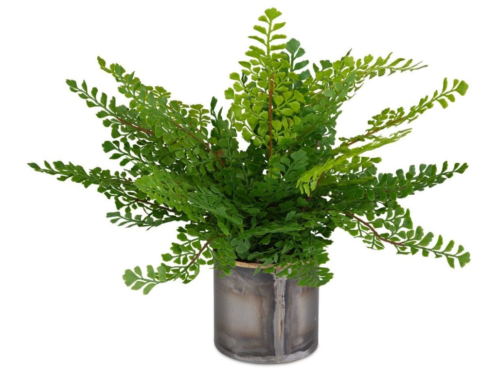 Maidenhair Fern Accent - main image