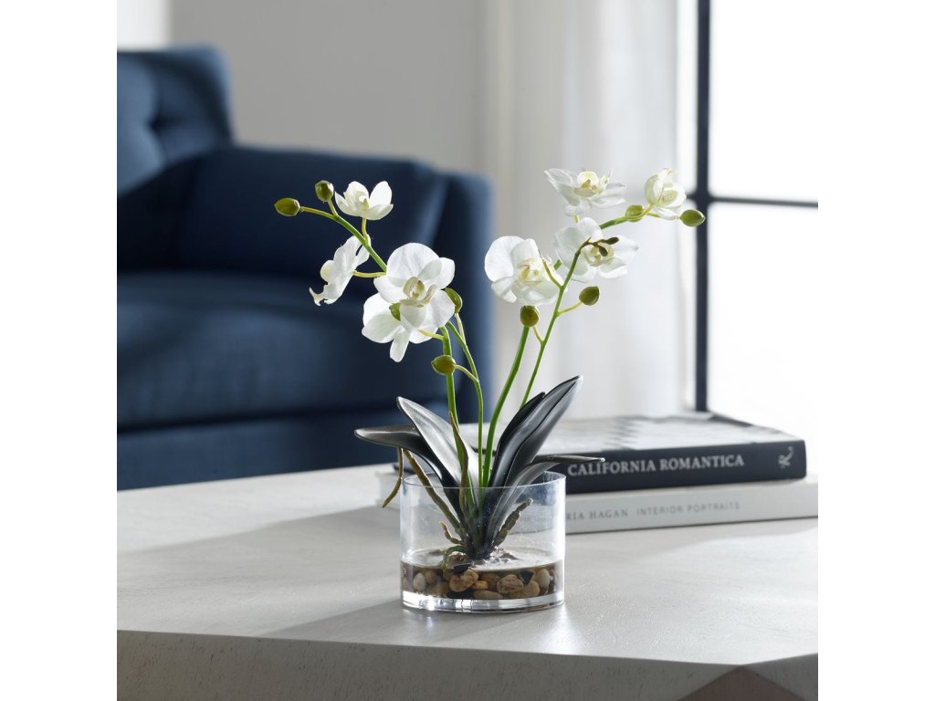 Glory Orchid, White - image 1