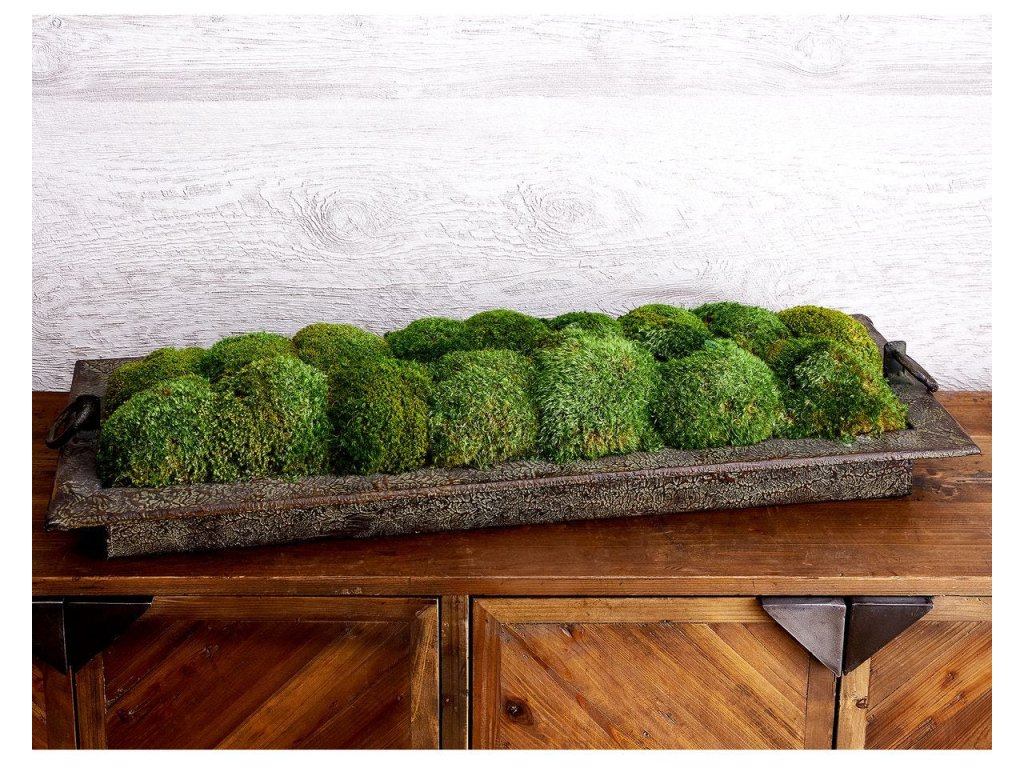 Heath Preserved Moss Tray - image 1