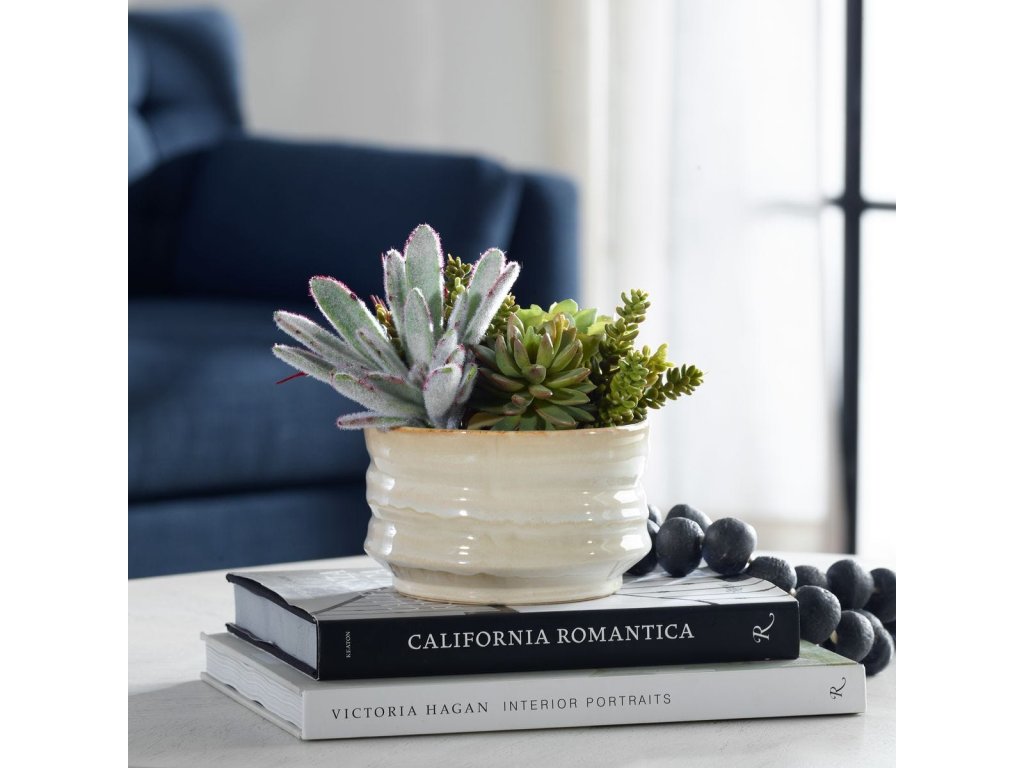 Mesa Succulent Accent - image 2