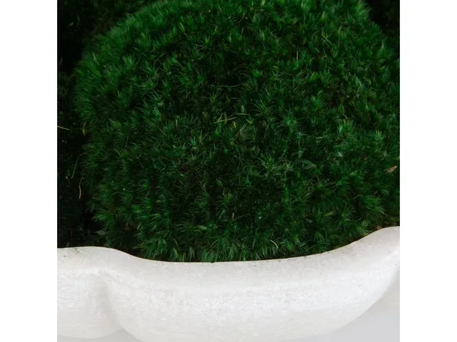 Awaken Moss Centerpiece