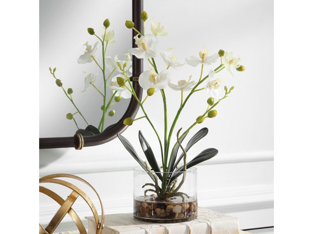 Glory Orchid, White - image 3