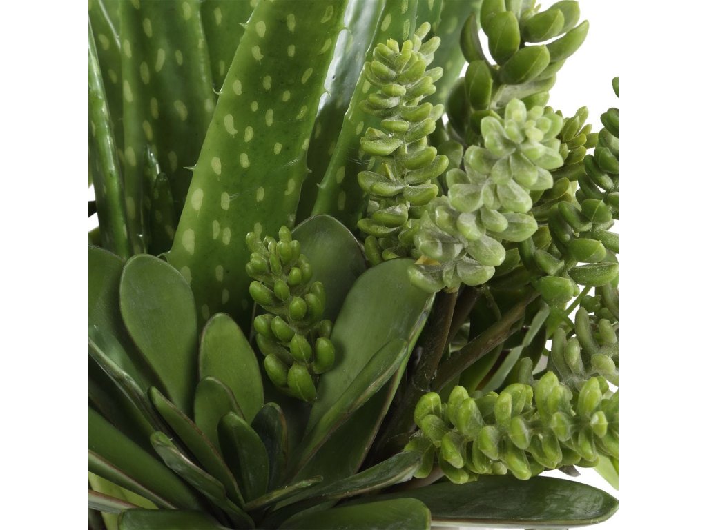 Sundown Succulent Accent - image 3