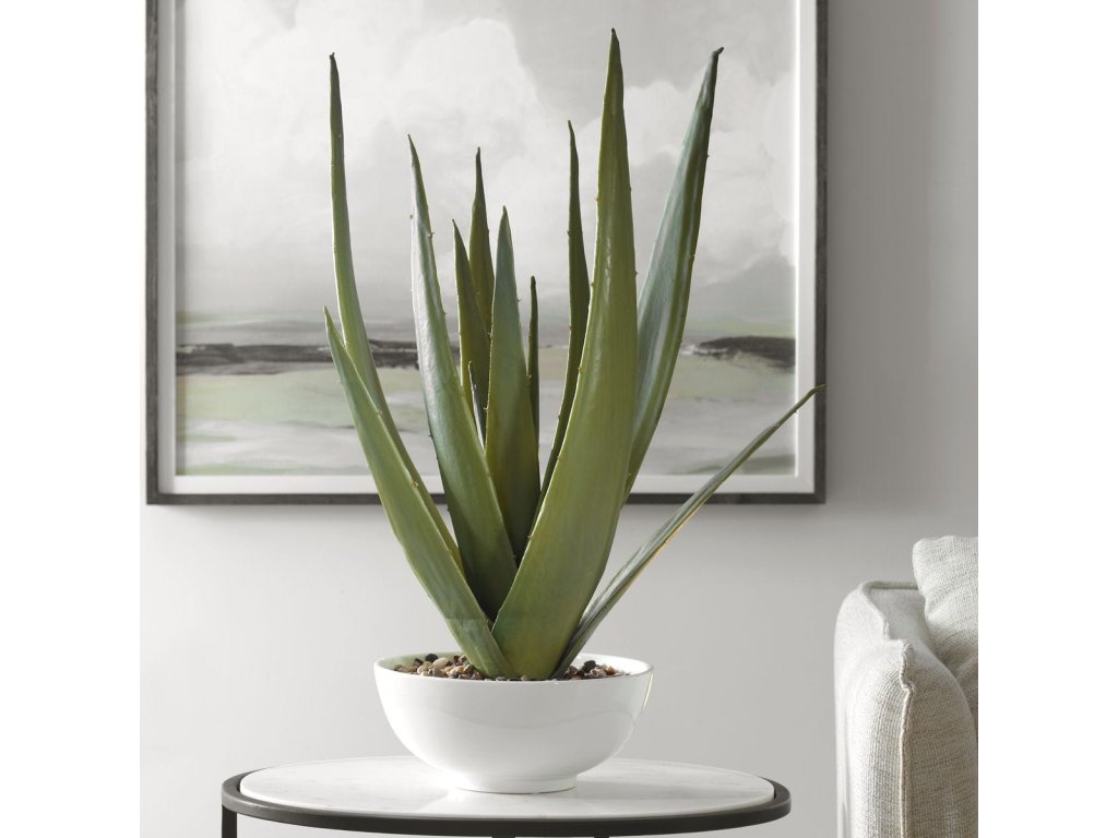Evarado Aloe Planter - image 2