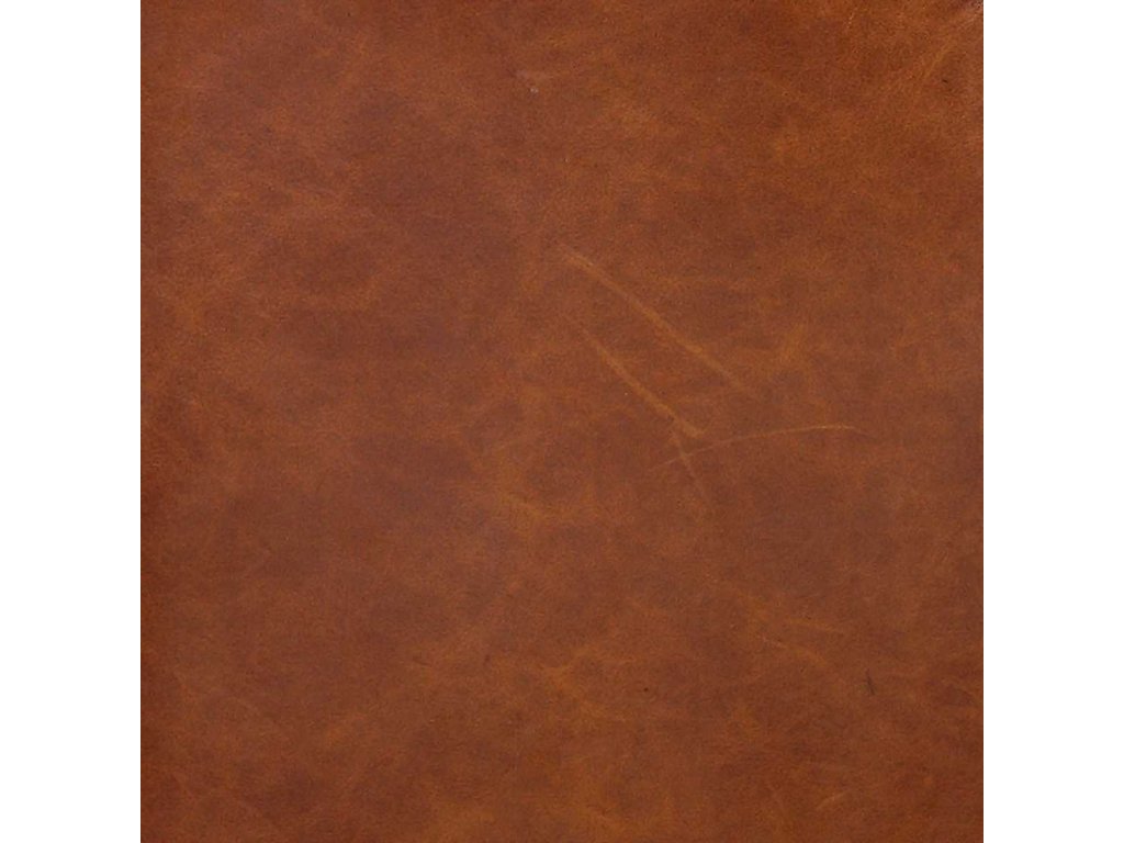 Roosevelt Club Chair - Cognac - image 4