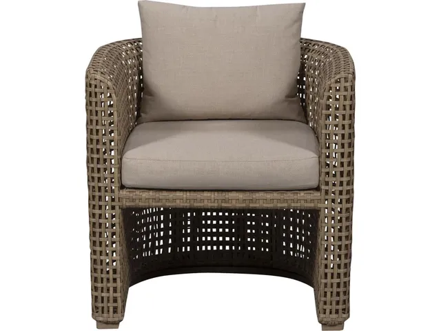 Bliss Outdoor Arm Chair