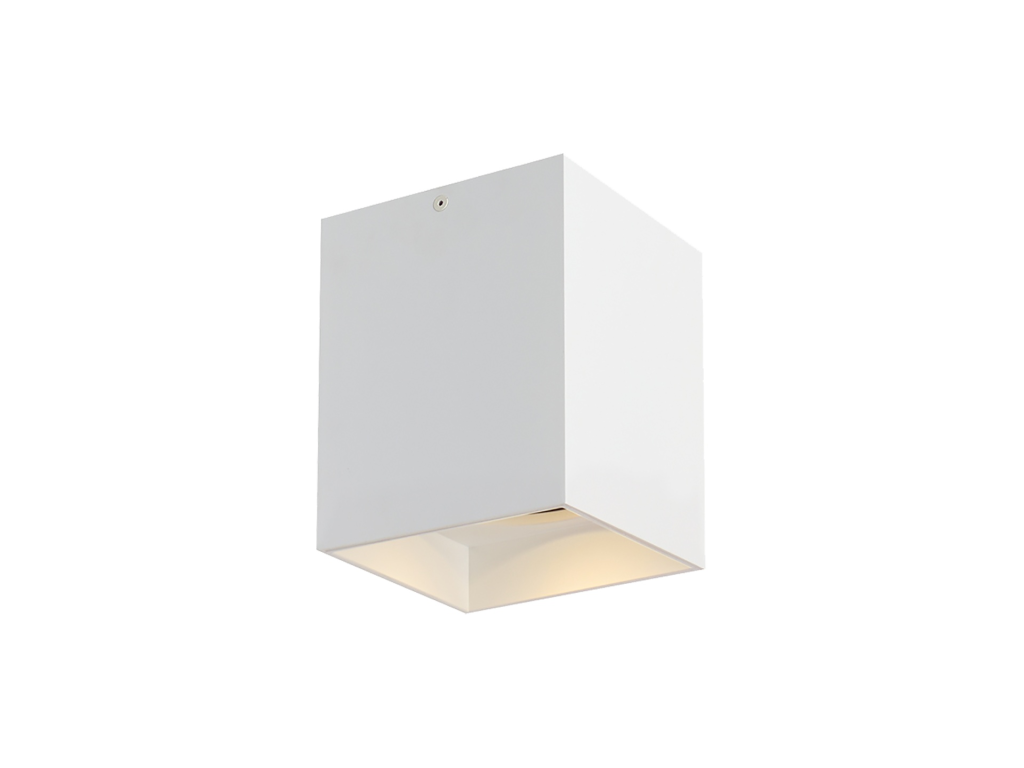 Exo 6 Flush Mount - main image