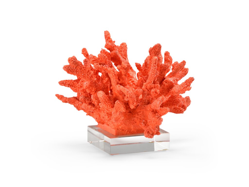 Coral - main image