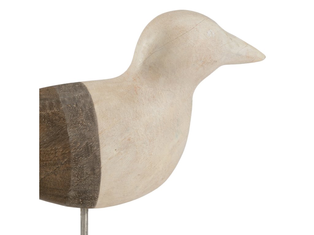 Shorebird (Sm) - image 1