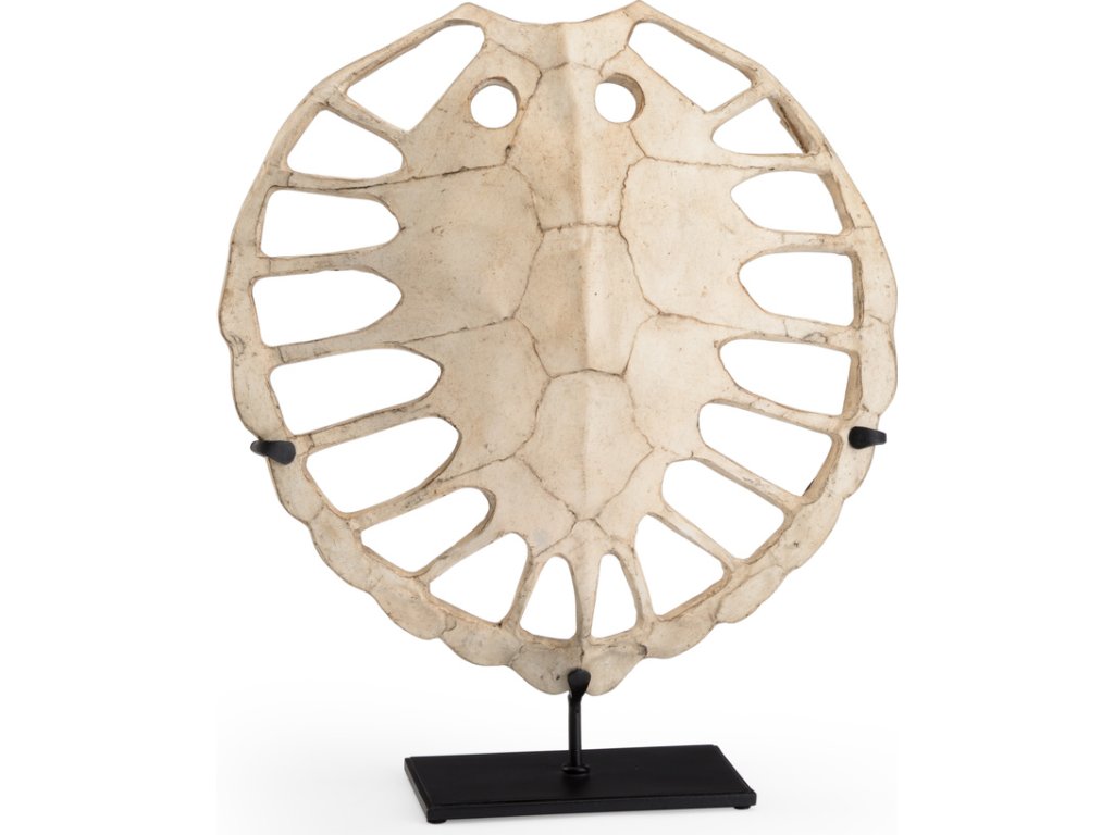 Sulcata Turtle - main image