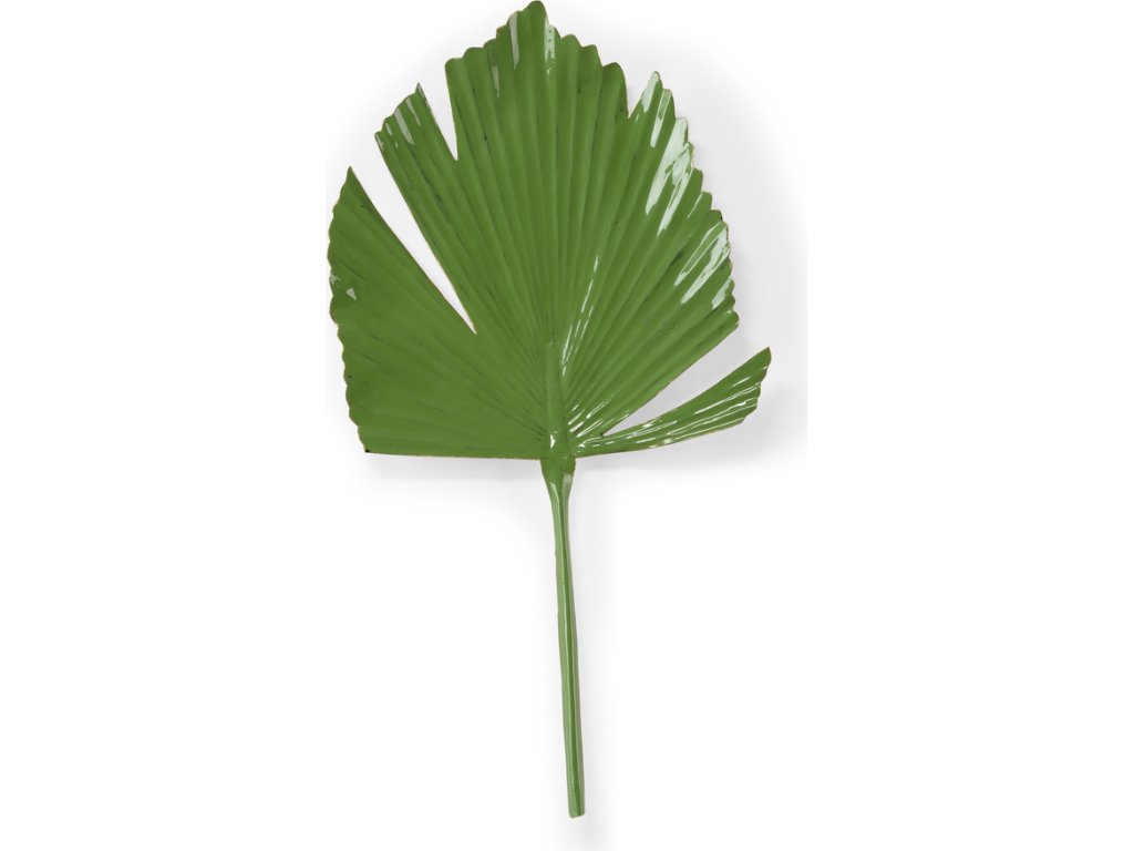 Split Leaf Palm (Left) - main image