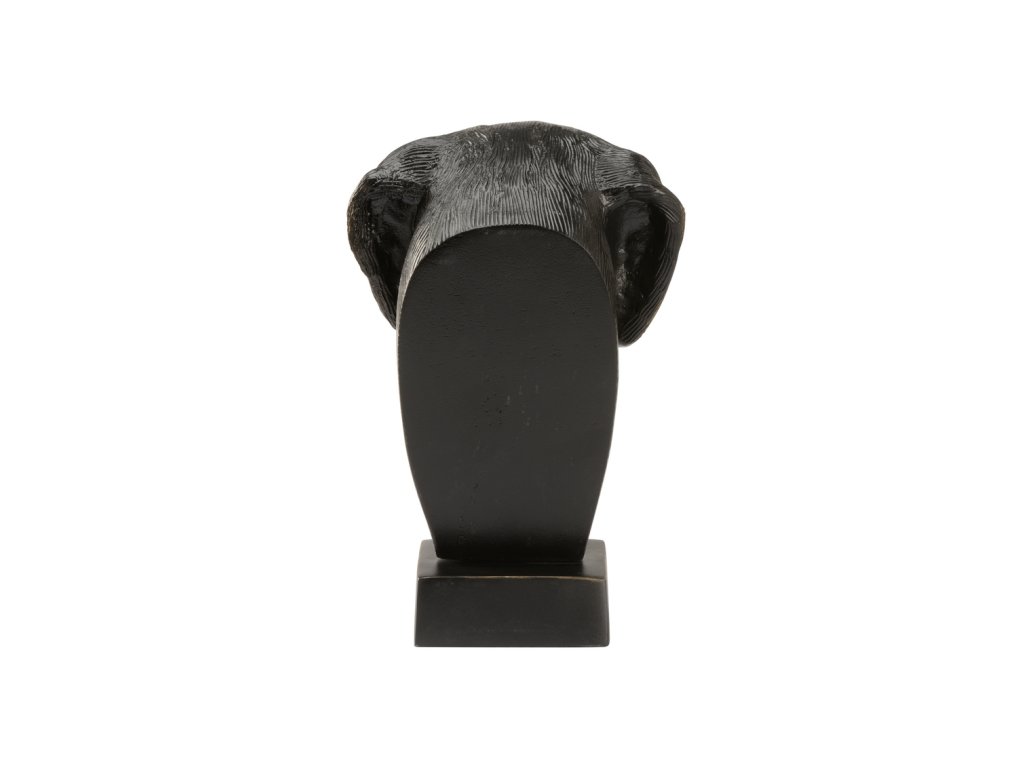 Dex - image 3